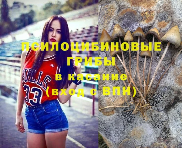 кокс Баксан