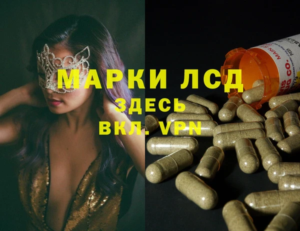 кокс Баксан