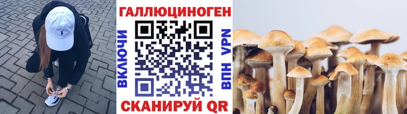 нарко площадка какой сайт  МЕГА tor  Удомля  Псилоцибиновые грибы мицелий 