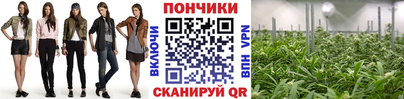 Бошки марихуана THC 21%  дарнет шоп  Удомля 